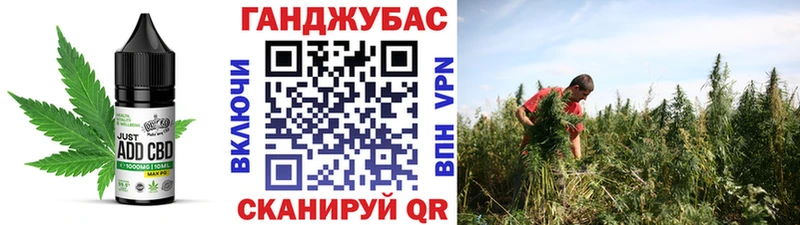 omg вход  купить наркотик  Новочеркасск  Canna-Cookies марихуана 