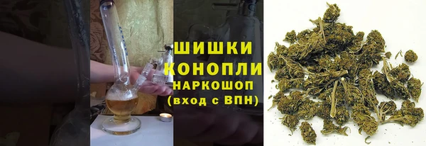 дурь Горняк