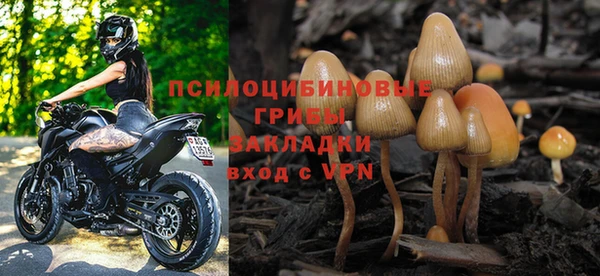 стаф Вязники