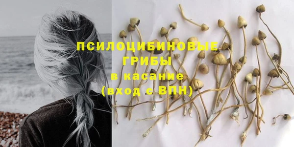 дурь Горняк