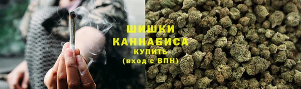 стаф Вязники