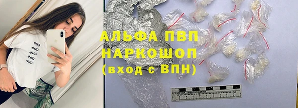 стаф Вязники